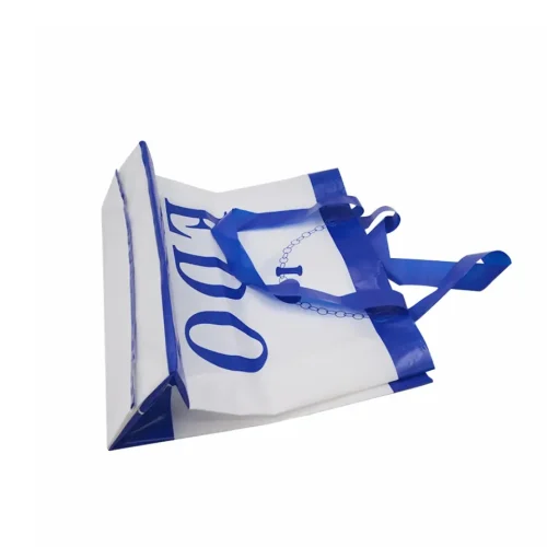 Custom branded soft loop handle carrier bag for fashion boutiques by Hanoi Plastic Bag