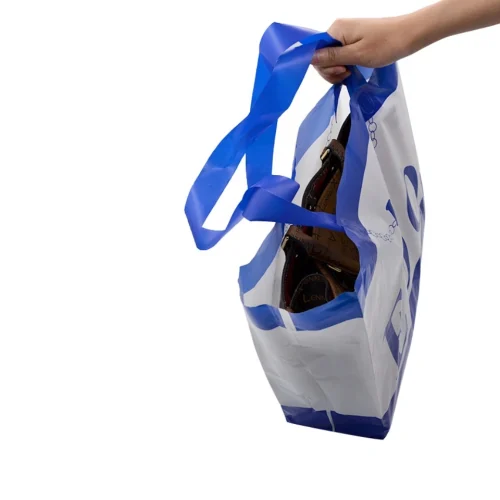 Professional retail transaction using a custom soft loop handle bag in a clothing store.
