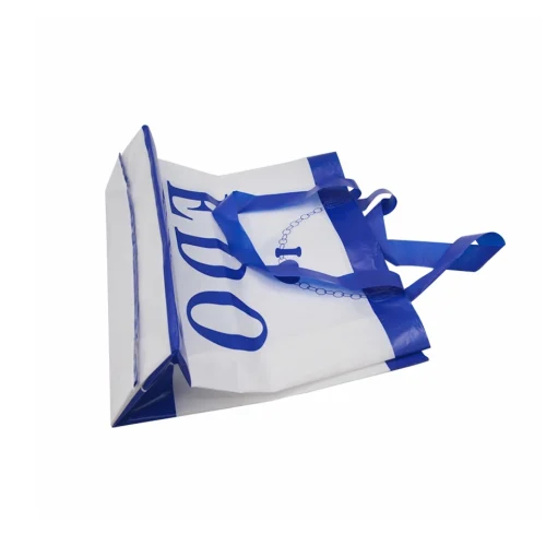 Custom printed soft loop handle shopping bag made by Hanoi Plastic Bag for export.