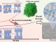 Infographic illustrating how liquid paraffin (LP) improves HDPE stretchability and leads to superior biaxial orientation, showing stress-strain curves, molecular models, and PE@LP microstructure.